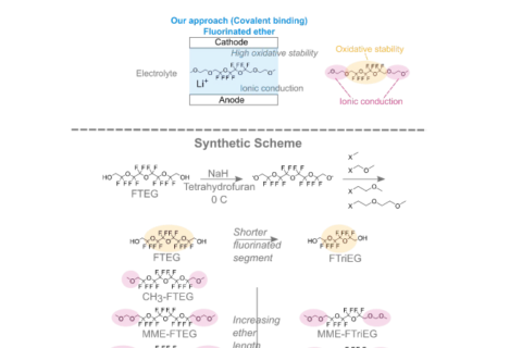 具有高電化學(xué)穩(wěn)定性的新型離子導(dǎo)電氟化醚電解質(zhì)