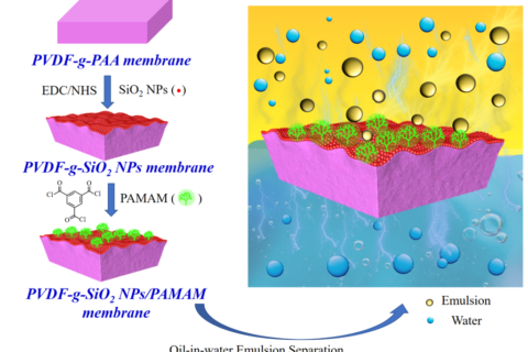浙江大學黃小軍團隊在PVDF油水分離膜、梯度膜生物檢測傳感領(lǐng)域取得系列進展