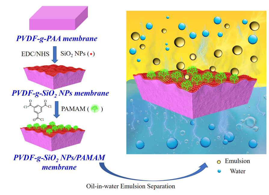浙江大學(xué)黃小軍團(tuán)隊(duì)在PVDF油水分離膜、梯度膜生物檢測(cè)傳感領(lǐng)域取得系列進(jìn)展