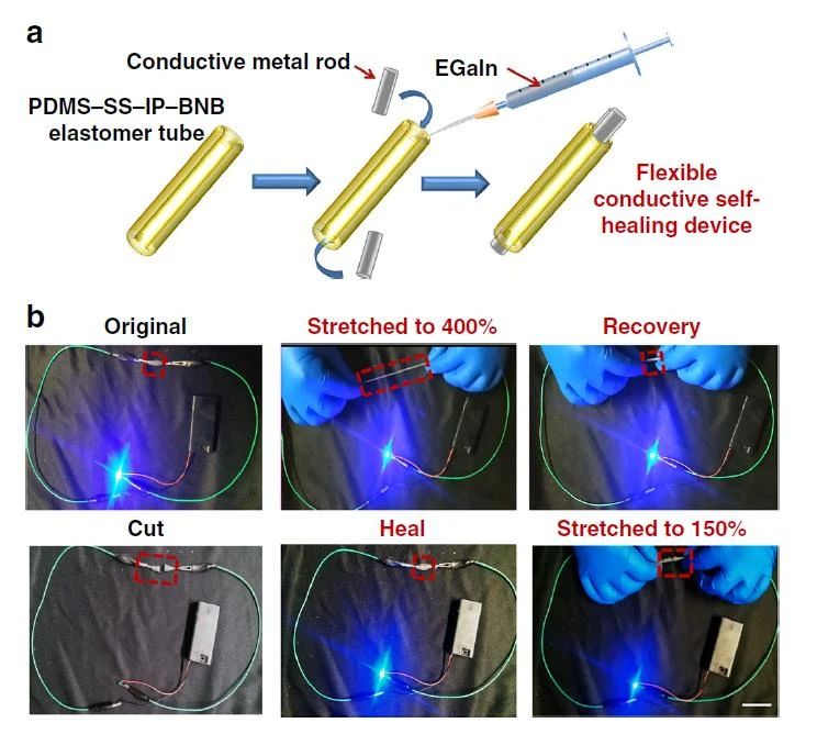 高度可拉伸自修復(fù)彈性體，可在各種極端條件下實(shí)現(xiàn)自修復(fù)
