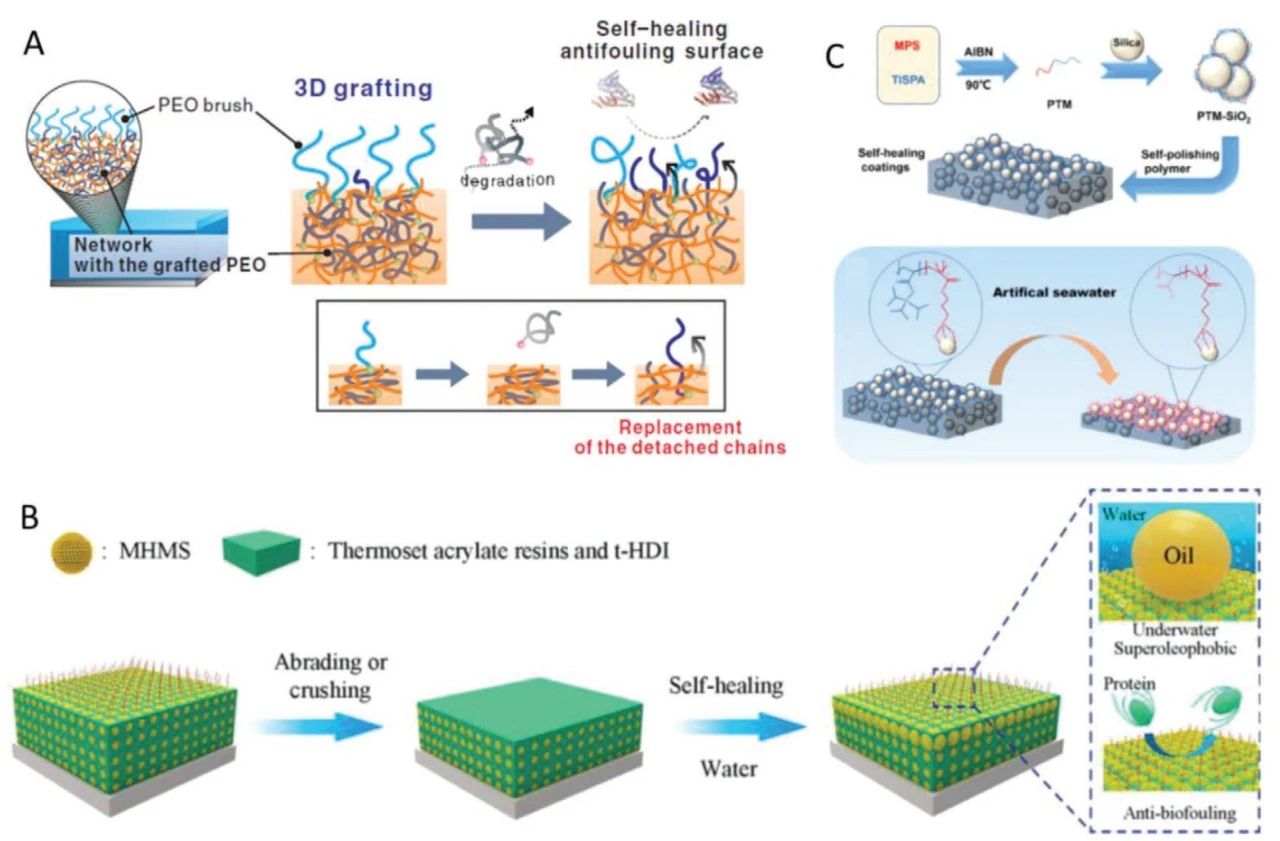 自修復(fù)防污材料的最新研究進(jìn)展