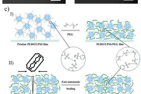 《AFM》：加點PEG，導電高分子實現(xiàn)自修復！