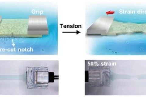 史上最柔！新型抗撕裂、自愈合柔性半導(dǎo)體！
