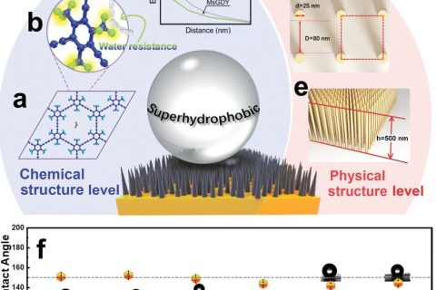 中科院青能所黃長(zhǎng)水《Small》：超穩(wěn)定超疏水石墨炔陣列，800天接觸角基本無變化！