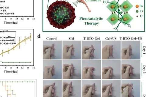 施劍林院士、陳雨研究員《先進(jìn)材料》：超聲引發(fā)鈦酸鋇壓電性用于無創(chuàng)壓電催化腫瘤療法