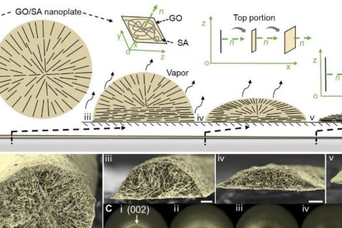 清華大學張瑩瑩課題組《PNAS》：3D打印制備超可拉伸離子神經電極