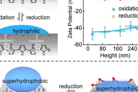 華南理工大學寧成云教授團隊《Nano letters》:“魔”法神器—油水分離新突破