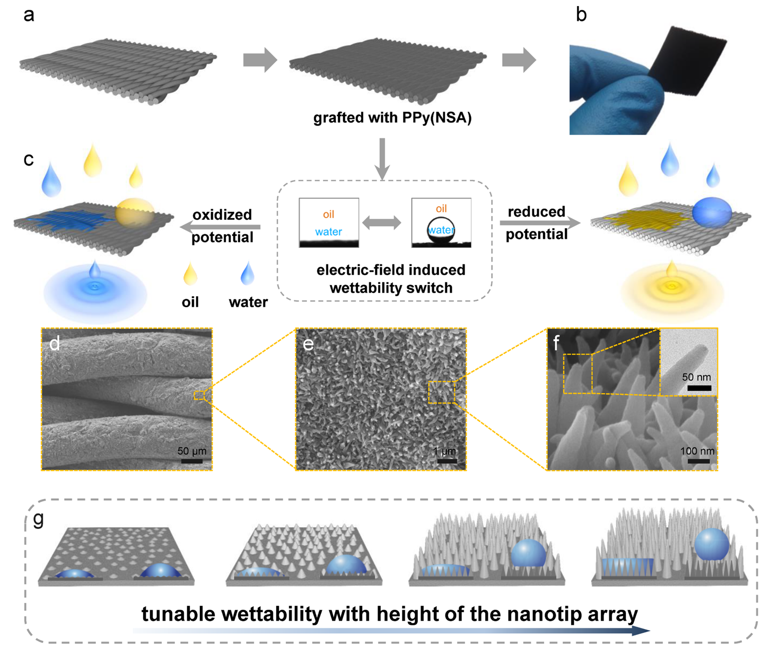 華南理工大學(xué)寧成云教授團(tuán)隊(duì)《Nano letters》:“魔”法神器—油水分離新突破