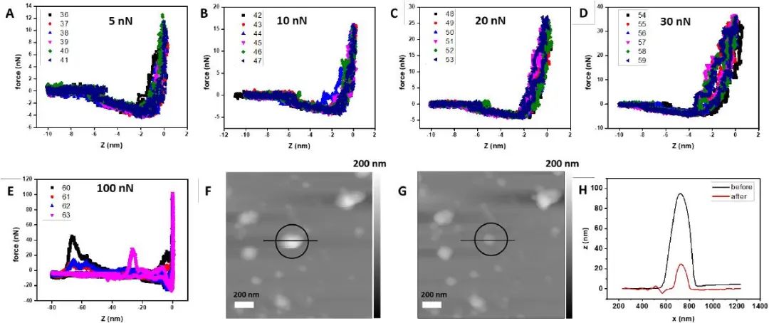 匹茲堡大學(xué)劉海濤/哈佛大學(xué)尹鵬《ACS Nano》：低密度，高強(qiáng)度的3D獨(dú)立DNA納米結(jié)構(gòu)雜化材料