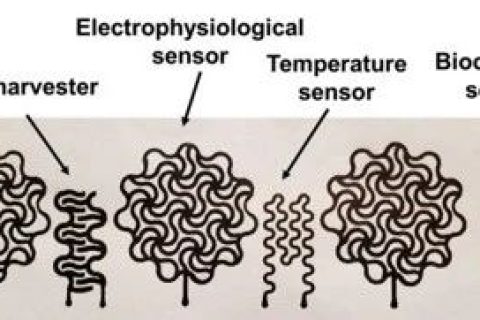 用 “鉛筆”和“紙”繪制高精度柔性電子器件