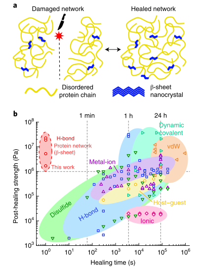 《自然·材料》：最強自修復(fù)材料！1秒自愈合，愈合強度高達23 MPa