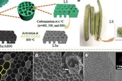 北航相艷課題組：可大規(guī)模生產(chǎn)的具有三級(jí)孔結(jié)構(gòu)的三維碳框架應(yīng)用于超級(jí)電容器和電容去離子