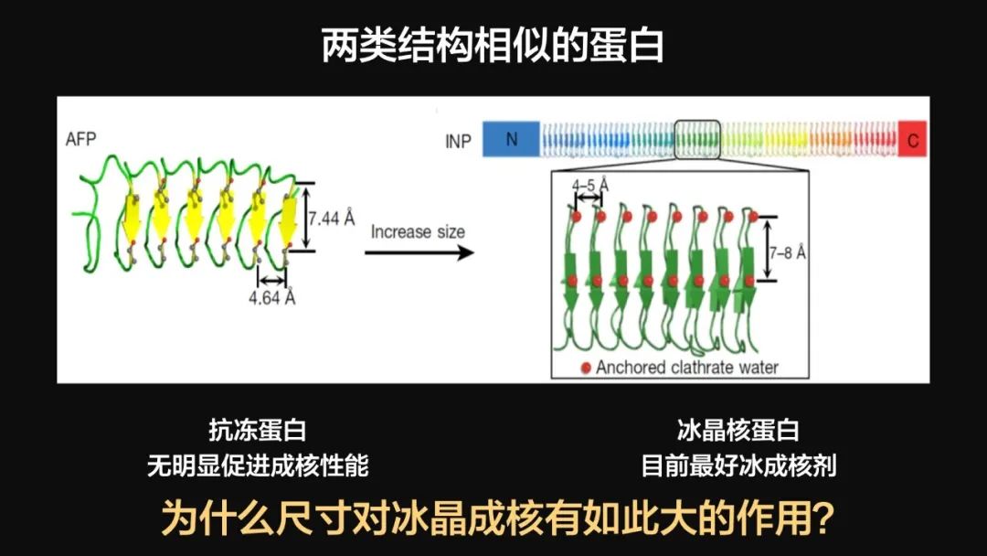 王健君：實(shí)證百年科學(xué)猜想，人體凍存未來可期