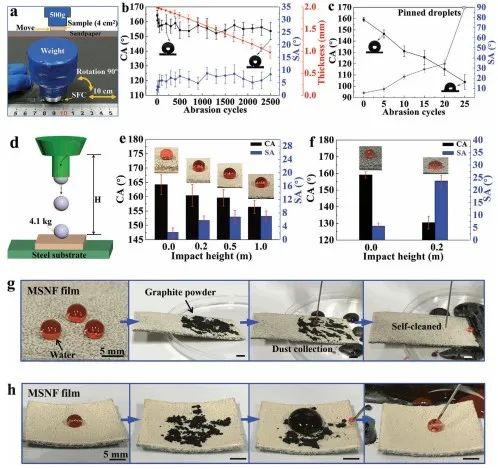 清華大學(xué)鄭泉水院士團(tuán)隊(duì)《AFM》：耐磨損、耐沖擊、自清潔的超疏水/超疏油微納復(fù)合材料