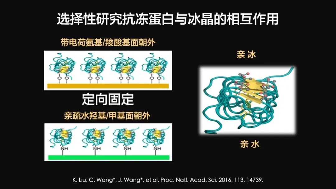 王健君：實(shí)證百年科學(xué)猜想，人體凍存未來可期