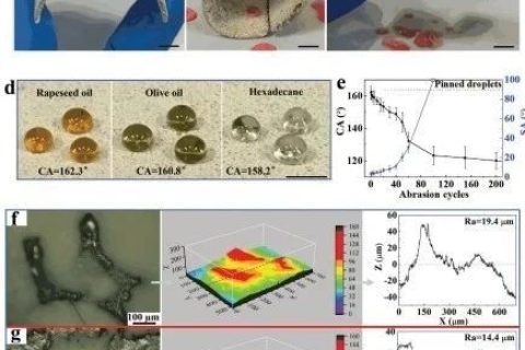 清華大學(xué)鄭泉水院士團(tuán)隊(duì)《AFM》：耐磨損、耐沖擊、自清潔的超疏水/超疏油微納復(fù)合材料