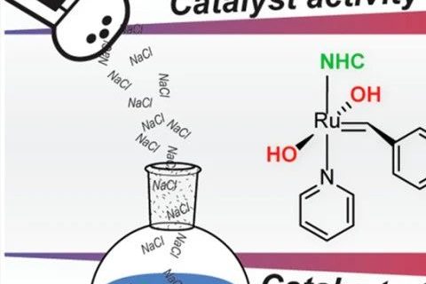 《JACS》：“開環(huán)易位聚合”像炒菜，加點鹽可控性更好！