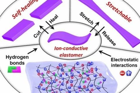 ?不依賴于壓力的觸摸傳感器！可自修復的純固態(tài)、無液體、可拉伸、高彈性離子導體