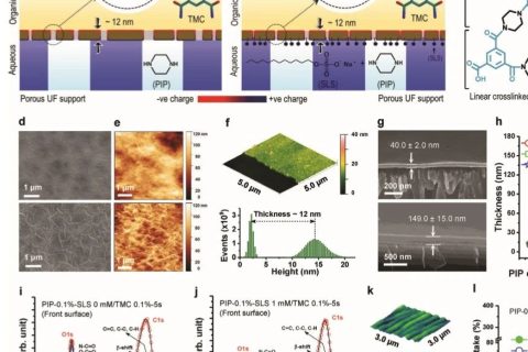 ?當(dāng)前最高的離子截留率99.99%！《AFM》：超選擇性和高滲透性聚酰胺納米膜！