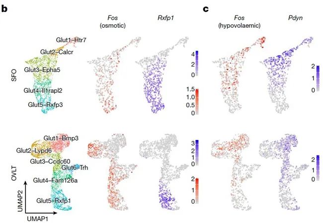 向優(yōu)秀看齊，南開大學(xué)本科生發(fā)《Nature》！