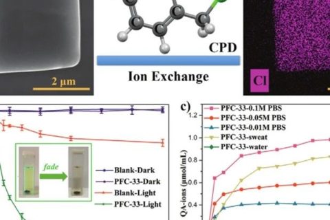 中科院福建物構所劉天賦《AM》：氫鍵有機骨架應用新突破！可用于離子響應型抗菌膜！