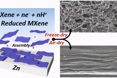 ACS Nano:界面電化學自組裝多維 Ti3C2Tx MXene 架構及水-氣凝膠應用